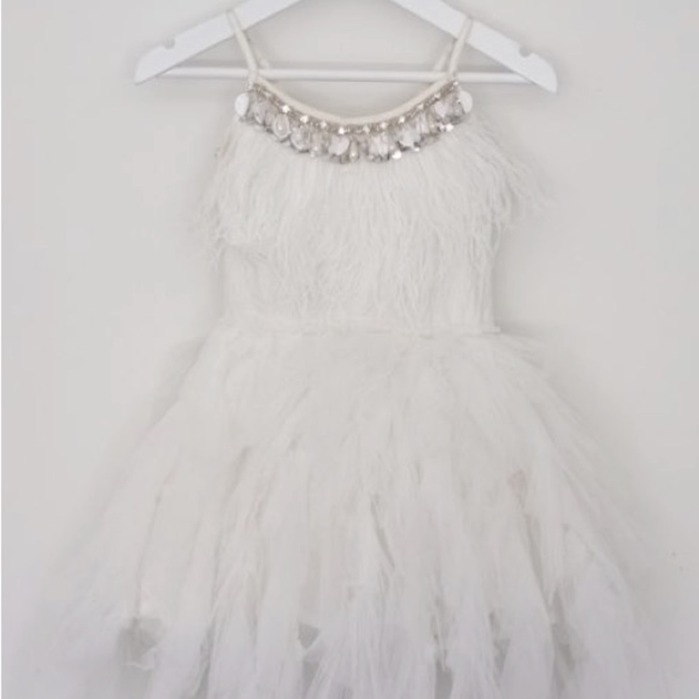 Tutu Du Monde Swan Queen Dress — Never Worn
